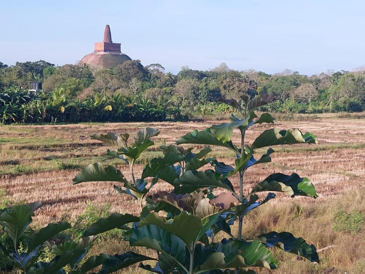 Green Shield Resort Anuradhapura Exterior foto