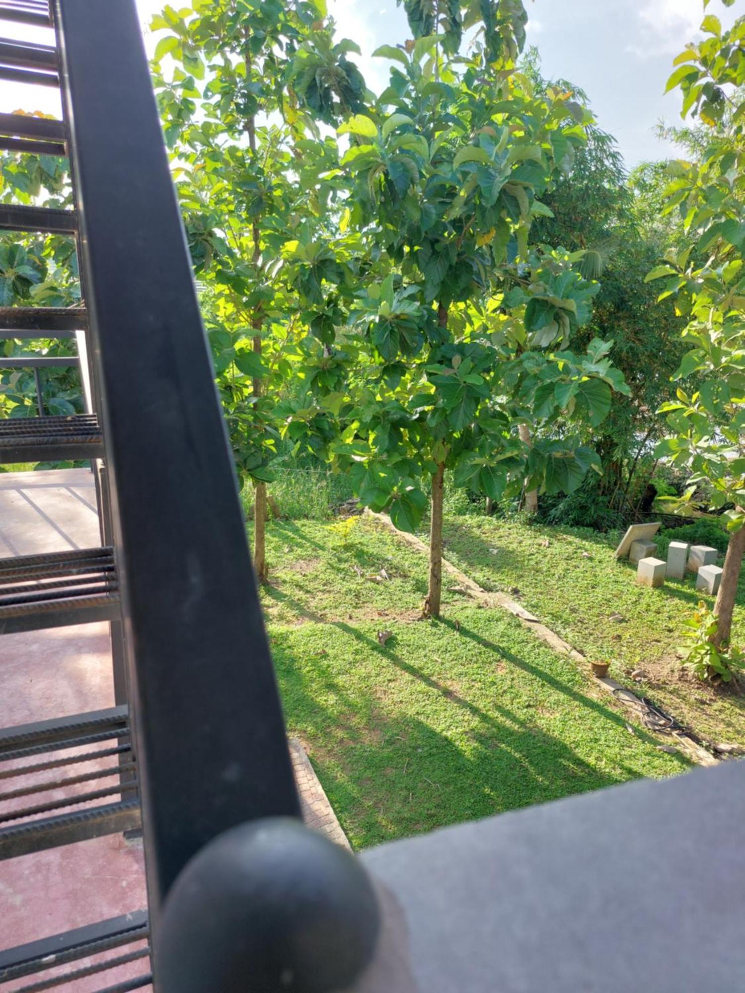 Green Shield Resort Anuradhapura Exterior foto