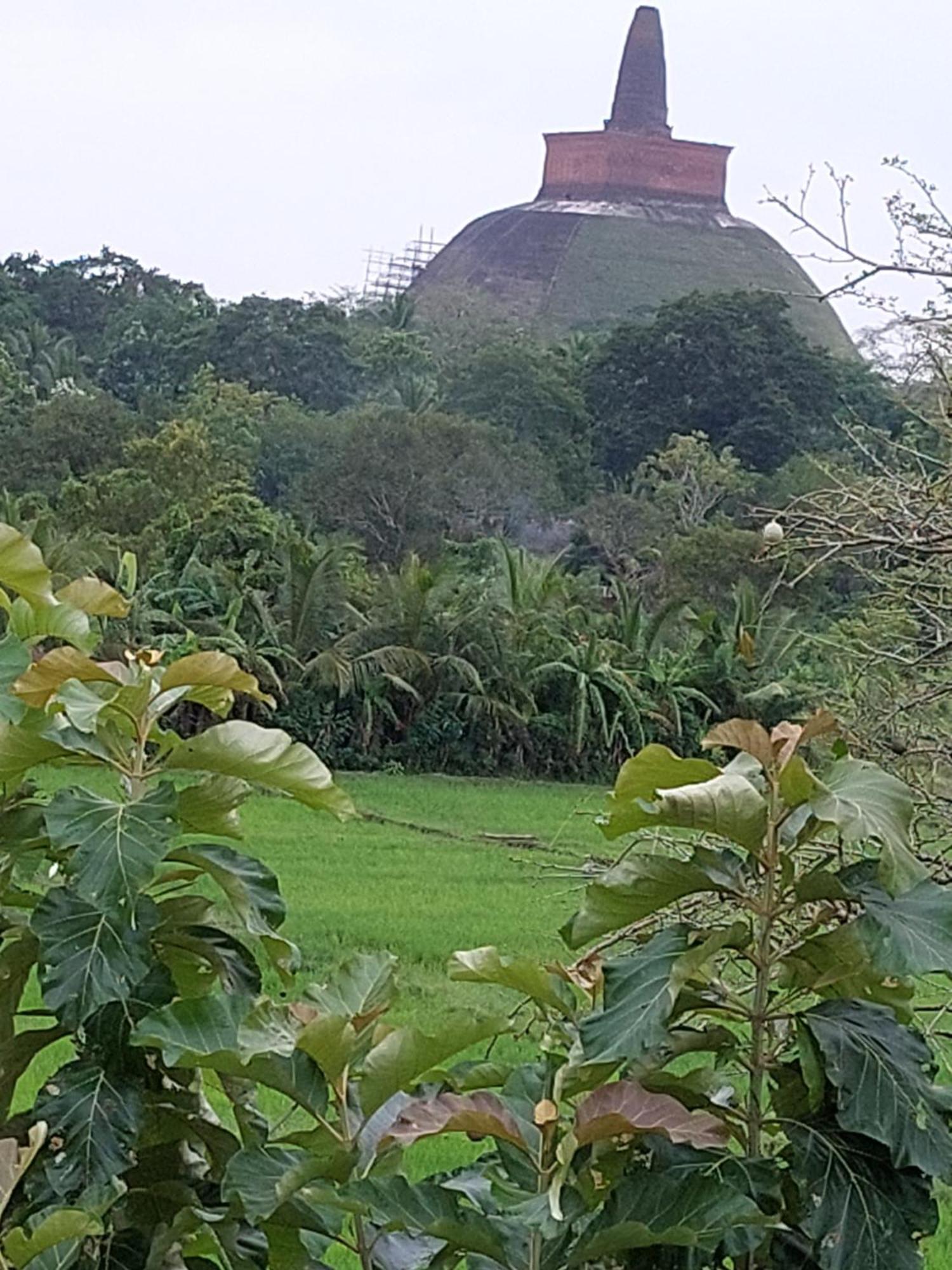 Green Shield Resort Anuradhapura Exterior foto