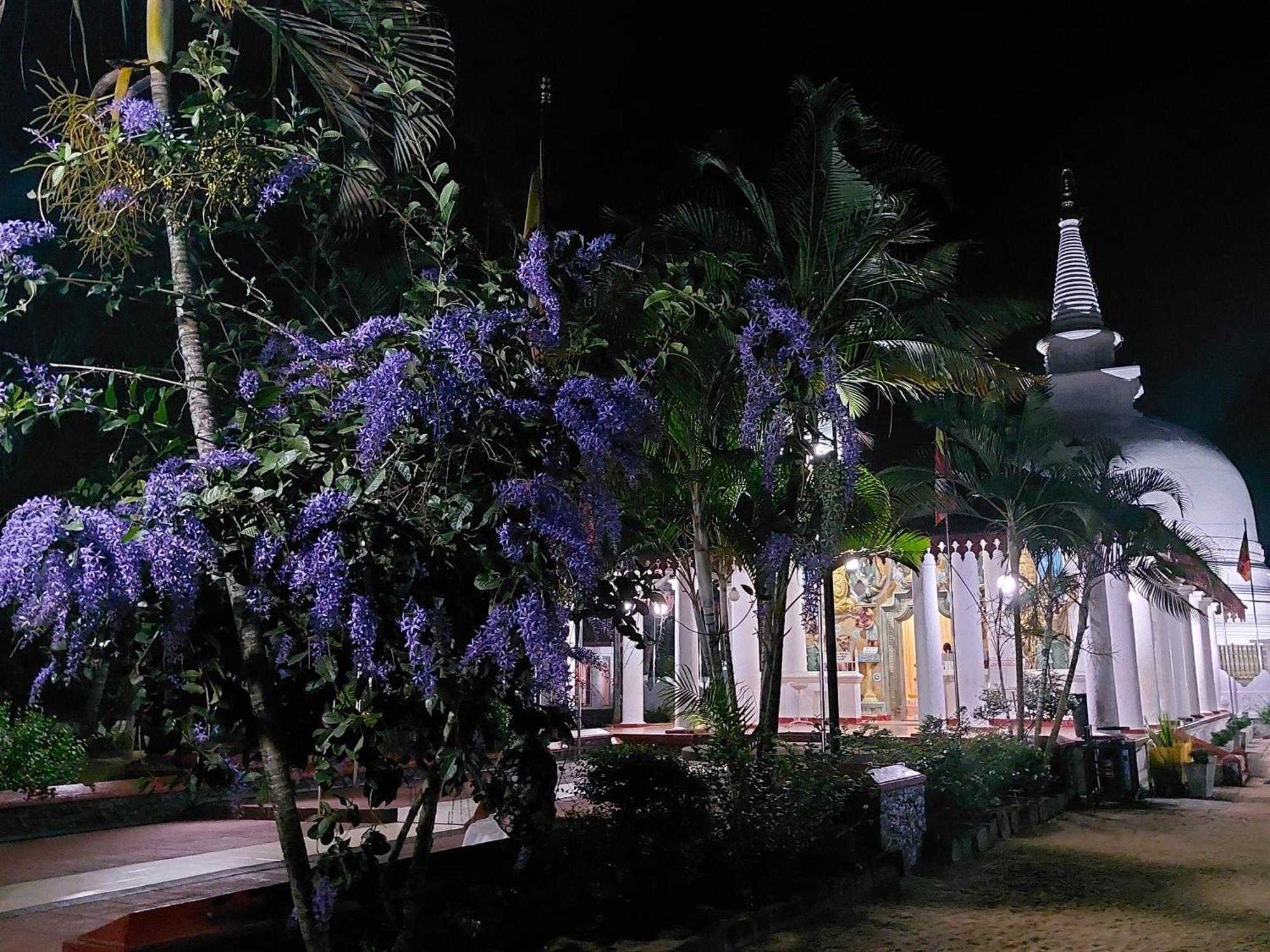 Green Shield Resort Anuradhapura Exterior foto